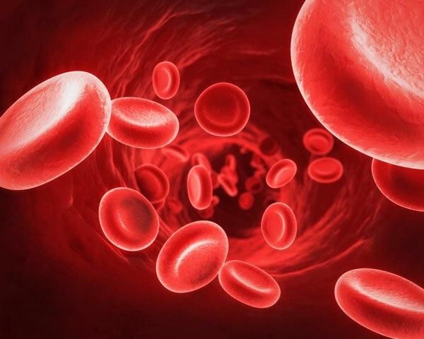 Người thiếu máu nên cẩn trọng khi uống trà xanh